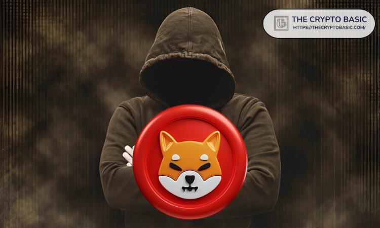 柴犬领队揭示您可能错过的重要新闻