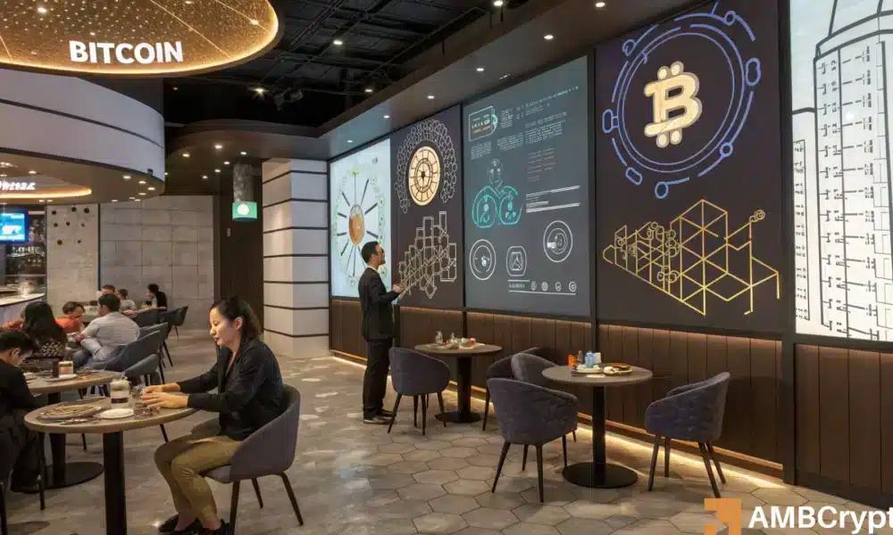 The  Million Club: Controlling 9.43% of BTC Supply - Cause for Concern?
